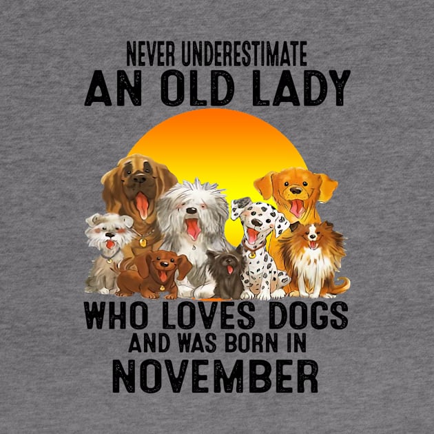 Never Underestimate An Old November Lady Who Loves Dogs by trainerunderline